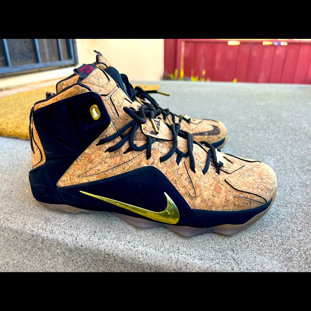 Lebron 12’s